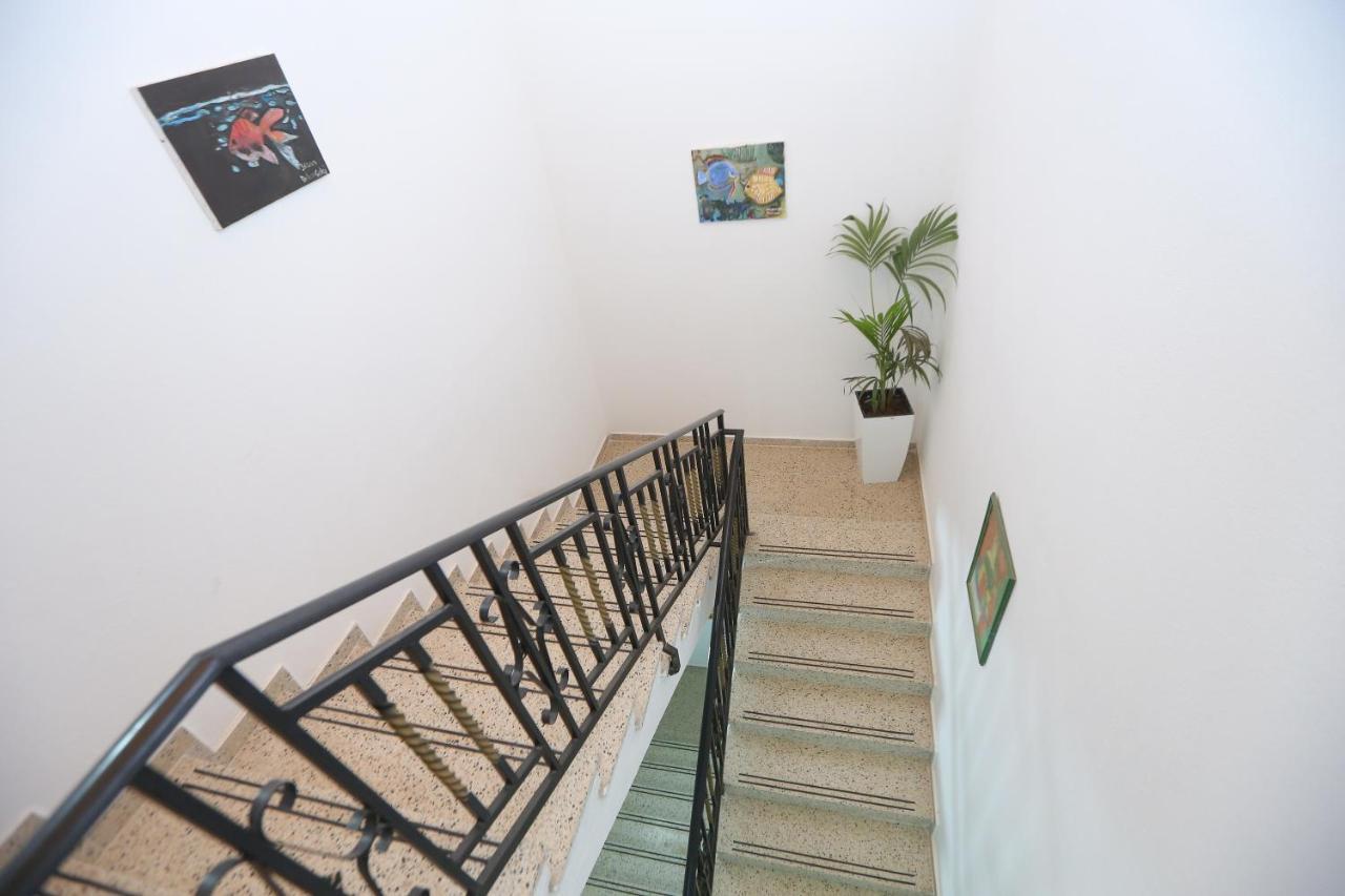 Celaj Apartment Velipoje