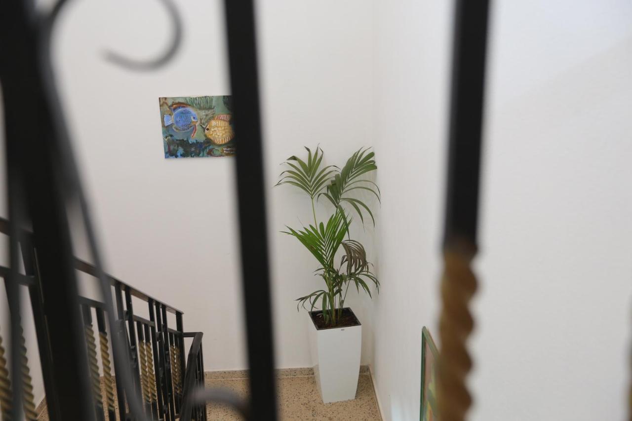 Celaj Apartment